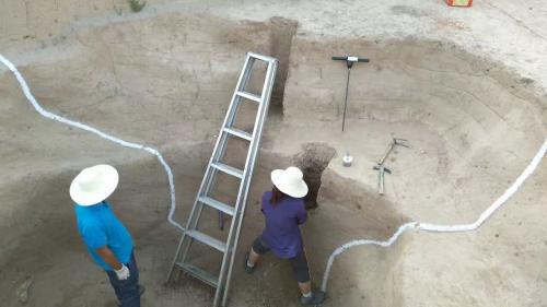 ���Ź������ڶԹ��ǳ�ǽ���ۺ������л���ȡ�����ܶȡ��������ṩ