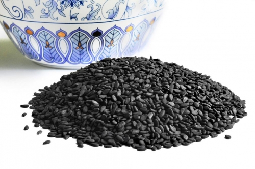 �ռ�һս����Ӫ������Ϯ