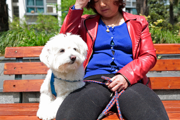 ������ʦ������13�귭20�� ��Ȼ��������ϣ��