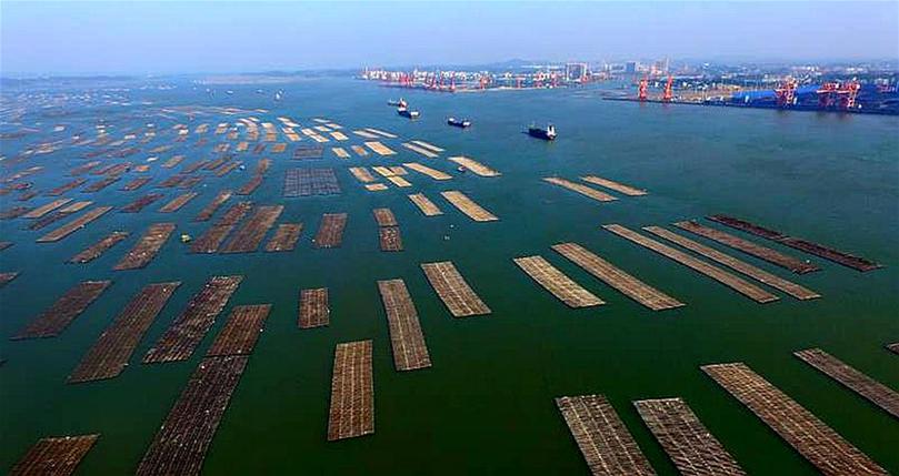 �����ã���1���������ݣ���ֳ��� ��ũ����