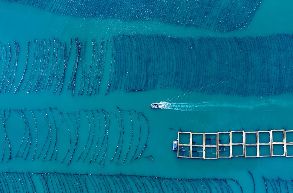 海洋1.jpg