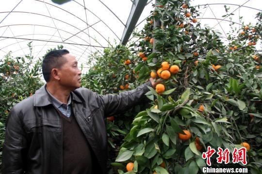 ����ũ����ˮ�����ָ���ÿ����200Ԫ��ͼ��