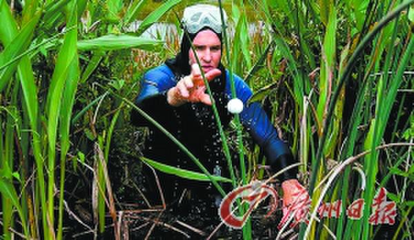 �̸߶���������Ԫ