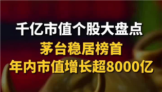 千亿市值个股大盘点 茅台稳居榜首 年内市值增长超8000亿_副本.jpg