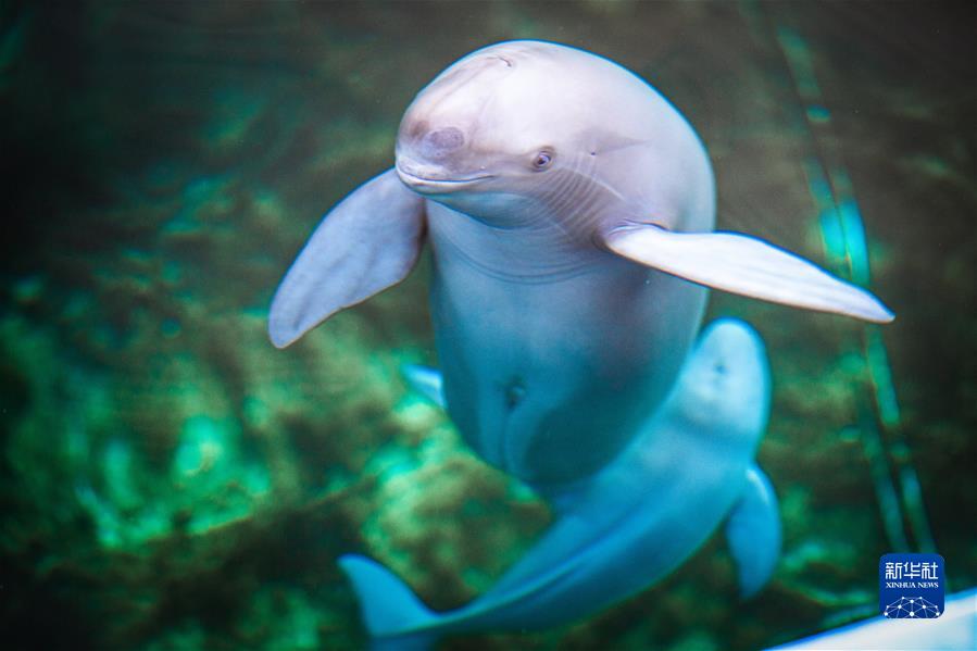 (新华全媒头条·奋进新征程 建功新时代·非凡十年·图文互动)(6)湖北:奋力谱写高质量发展新篇章