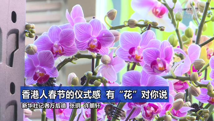 香港人春节的仪式感 有“花”对你说.png