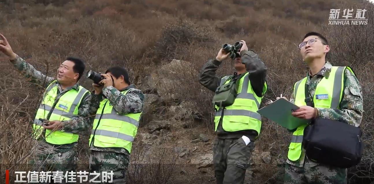 新春走基层｜祁连山下护林员的新年心愿.jpg