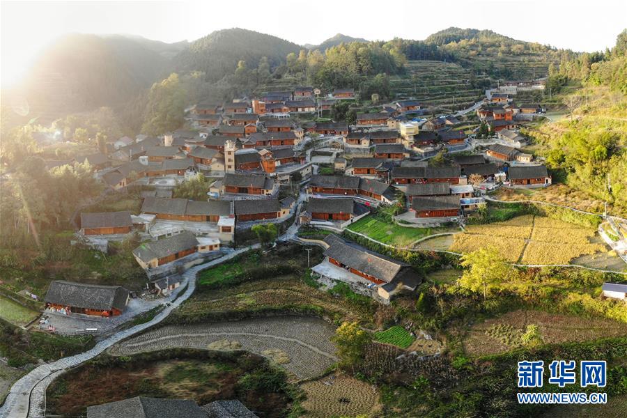 ���»�ȫýͷ����ͼ�Ļ�������4��ϰ��ƽ�ķ�ƶ����