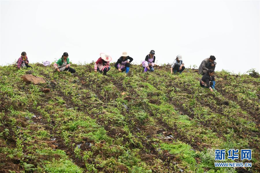 ���»�ȫýͷ����ͼ�Ļ�������18��ϰ��ƽ�ķ�ƶ����