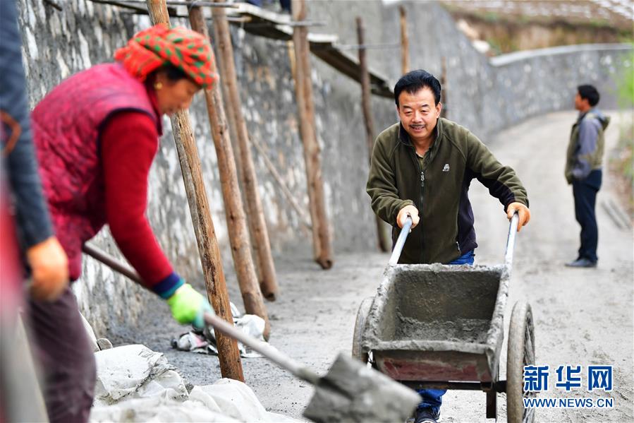 ���»�ȫýͷ����ͼ�Ļ�������22��ϰ��ƽ�ķ�ƶ����