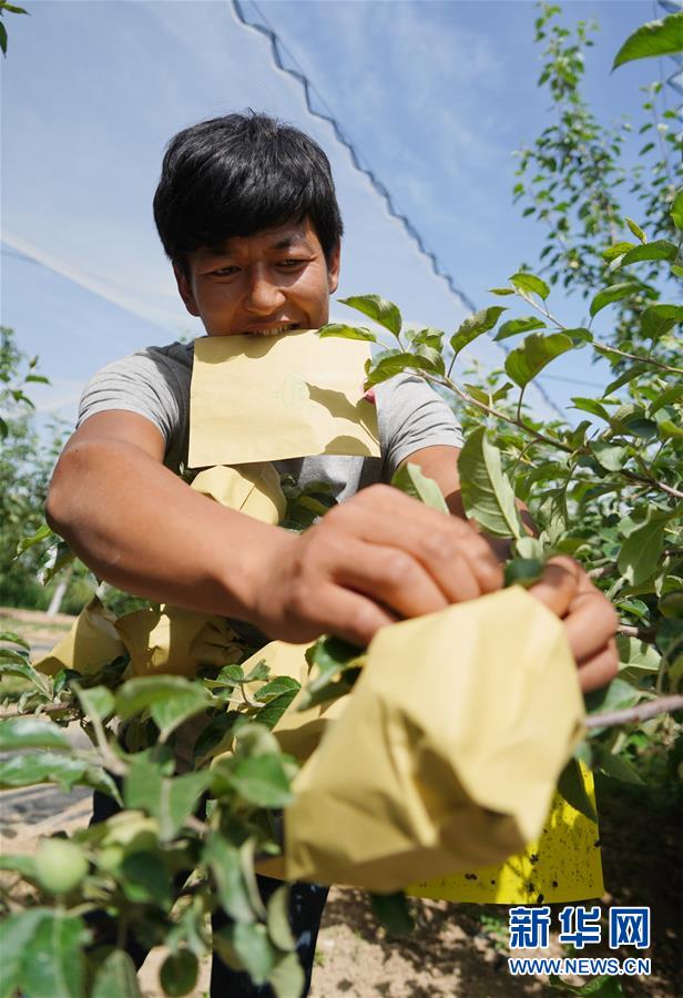 ��ϰ��ƽ��С�����¡�ͼ�Ļ�������2�����Һ����ε�һ���£������������Ǳ���һ���⡱����ϰ��ƽ����ƶ����Ĺ���