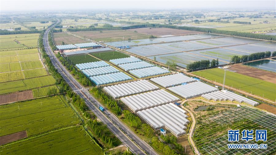 �����ã���1�����ս������Ķũҵʾ���� ����ũ���¸�·