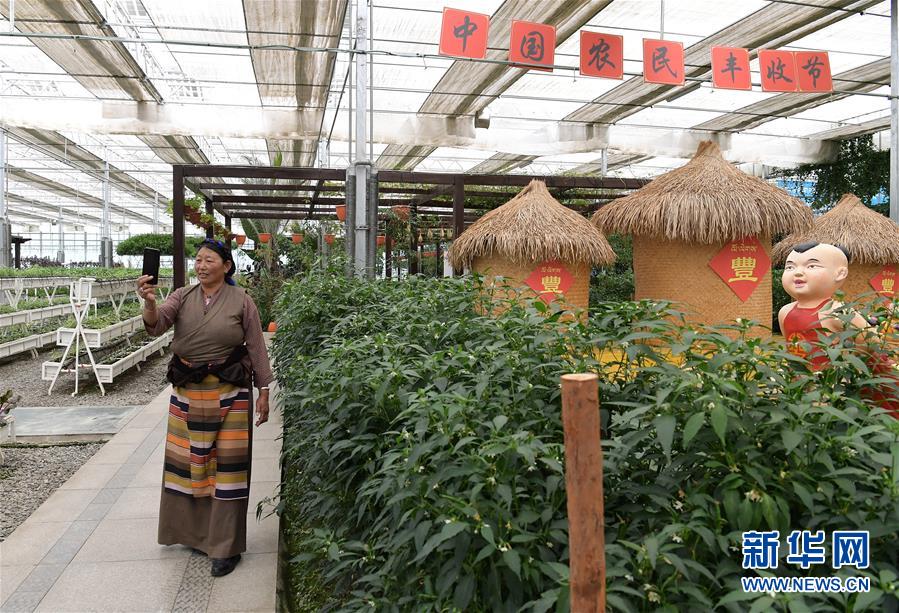 ���������ǵ�С�������ս��ʤ��ƶ���ᡤͼ�Ļ�������3����ԭϲ�����ٹ��̡������������ݼ����ϵ��߲˷�չ�漣