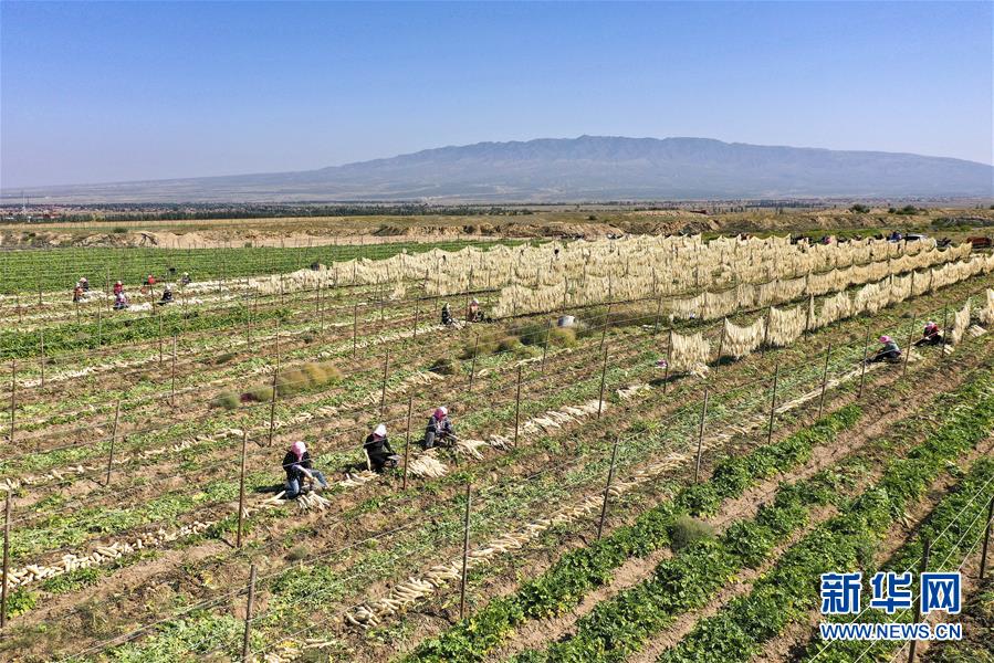 (新华全媒头条·走向我们的小康生活·图文互动)(8)23万人的命运转折——我国最大易地生态移民安置区的脱贫密码