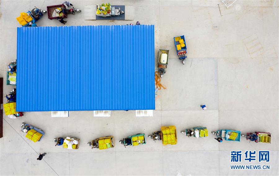 (新华全媒头条·走向我们的小康生活·图文互动)(10)23万人的命运转折——我国最大易地生态移民安置区的脱贫密码