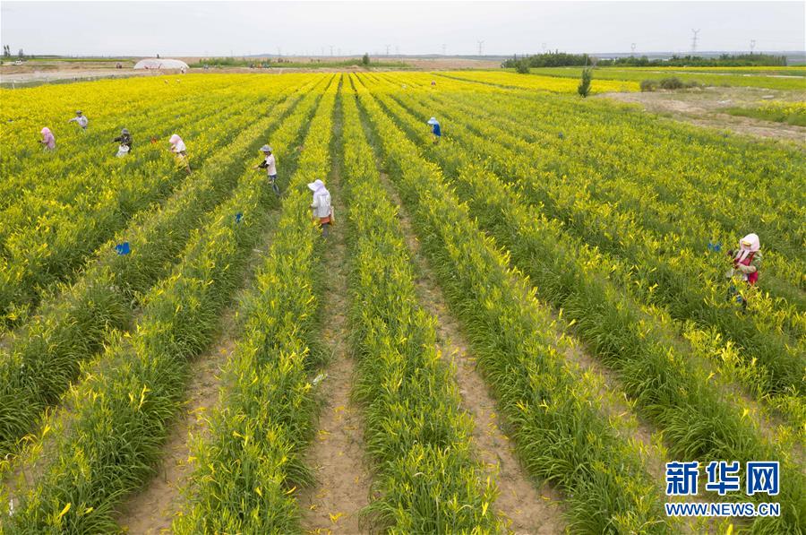 (新华全媒头条·走向我们的小康生活·图文互动)(11)23万人的命运转折——我国最大易地生态移民安置区的脱贫密码