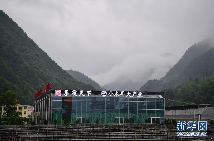 ���»�ȫýͷ�����������ǵ�С�����ͼ�Ļ�������3��ۏ����ɫС��·���������ذ�ɽ������ƶ���