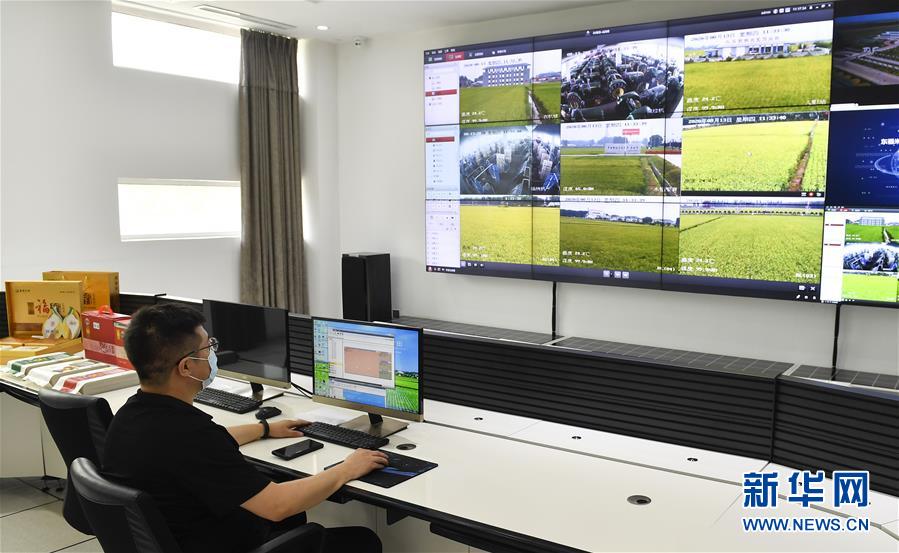 ���»�ȫýͷ�����������ǵ�С�����ͼ�Ļ�������4�������������Ҽҡ����ڼ��֣�һƳ�й������������δ��