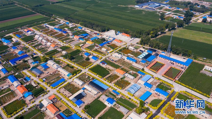 ���»�ȫýͷ�����������ǵ�С�����ͼ�Ļ�������1�������������Ҽҡ����ڼ��֣�һƳ�й������������δ��