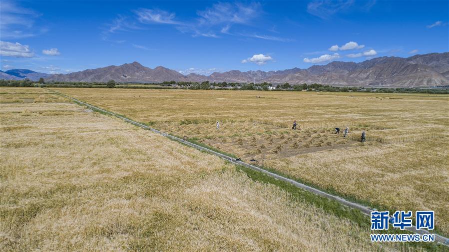 ���»�ȫýͷ�����������ǵ�С�����ͼ�Ļ�������11���������գ����ǵ��¼�԰���������׵ط�ƶ��Ǩ����Ҹ�����������