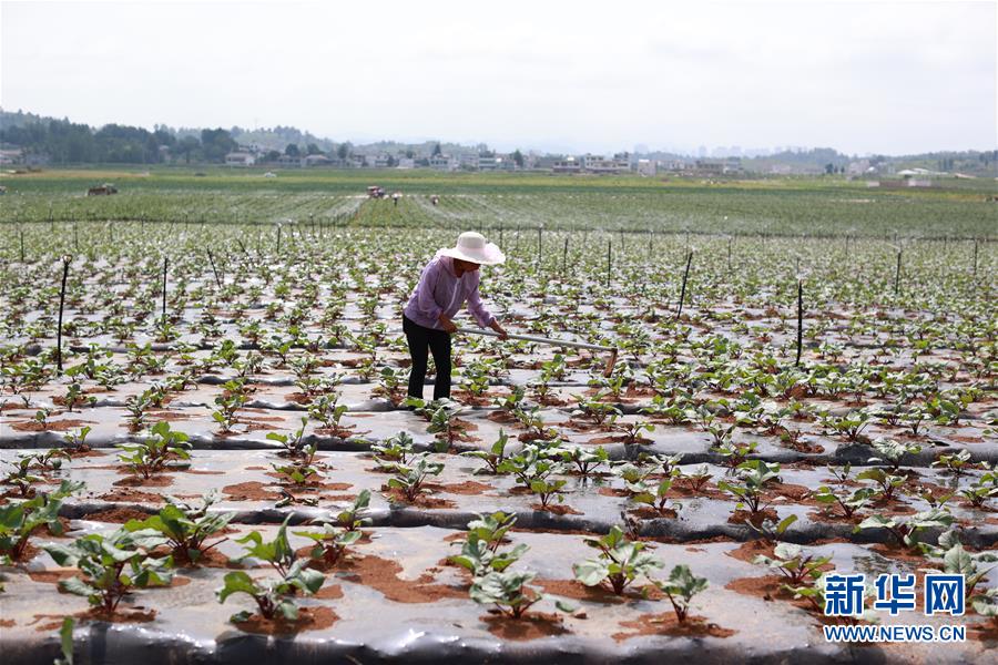 ���»�ȫýͷ�����������ǵ�С�������ս��ʤ��ƶ���ᡤͼ�Ļ�������3��ǧ��֮�ʽ񳯽⡪������ƶ��Ⱥ��ʵ�֡���ˮ���