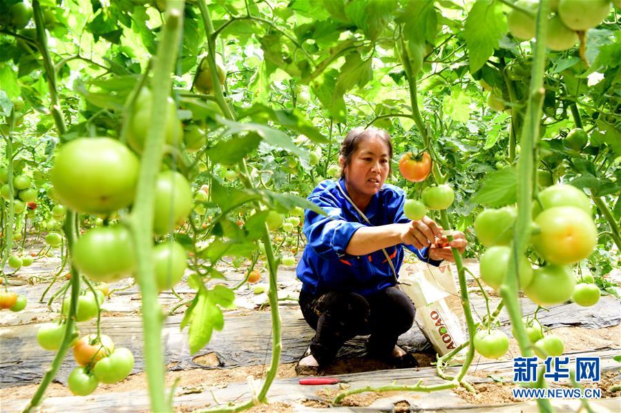 ����ƶ���ᣩ��1���������ϣ���ƶģʽΪ������