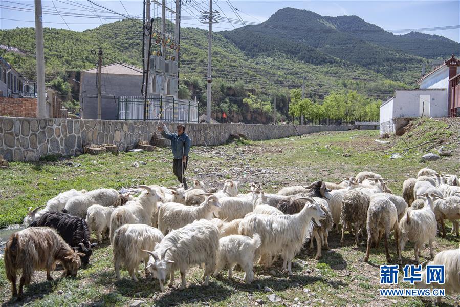 ����ᣩ��1�������ġ���ƶ��