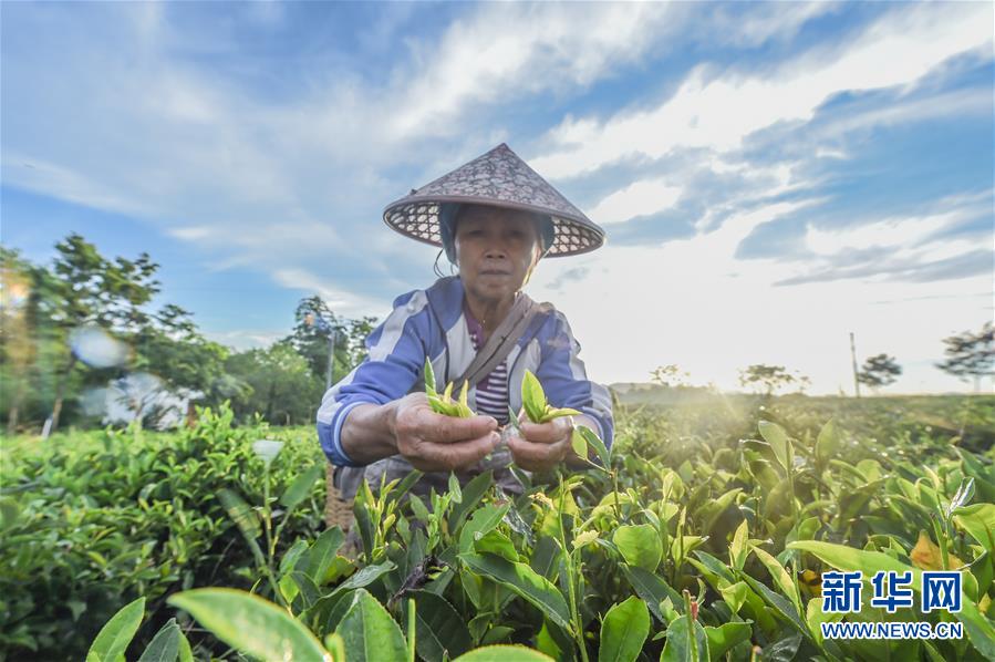 ����ᣩ��1�����ϣ������Ҷ����ƶ