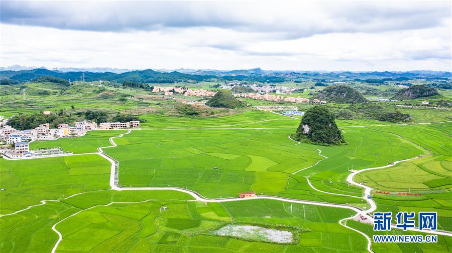 ���»�ȫýͷ����ͼ�Ļ�������1�����¾�װ������û�����̵ġ�ս�����������ݡ���֧�顱��ƶ����һ��������