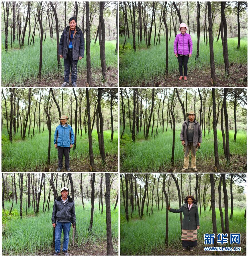 ���»�ȫýͷ����ͼ�Ļ�������7��ׯ�صĳ�ŵ����ʷ���漣����������������ս��ƶ�����ʵ