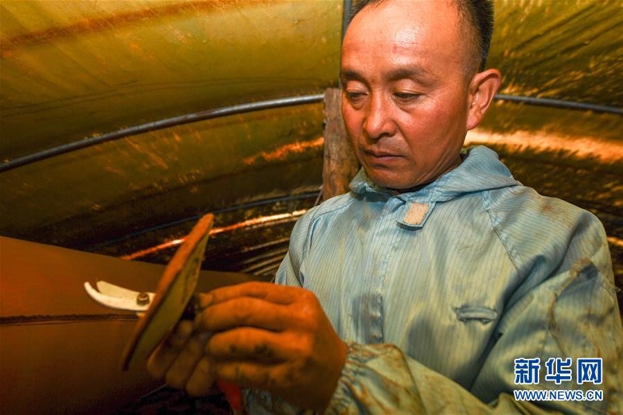 ����ս��ʤ��ƶ���ᡤͼ�Ļ�������3���ӡ������ƶ��������ͷ��ƶ���������־���������һλ����ƶӢ�ۡ�